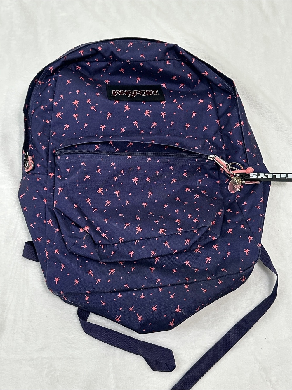 🎾 JanSport Backpack